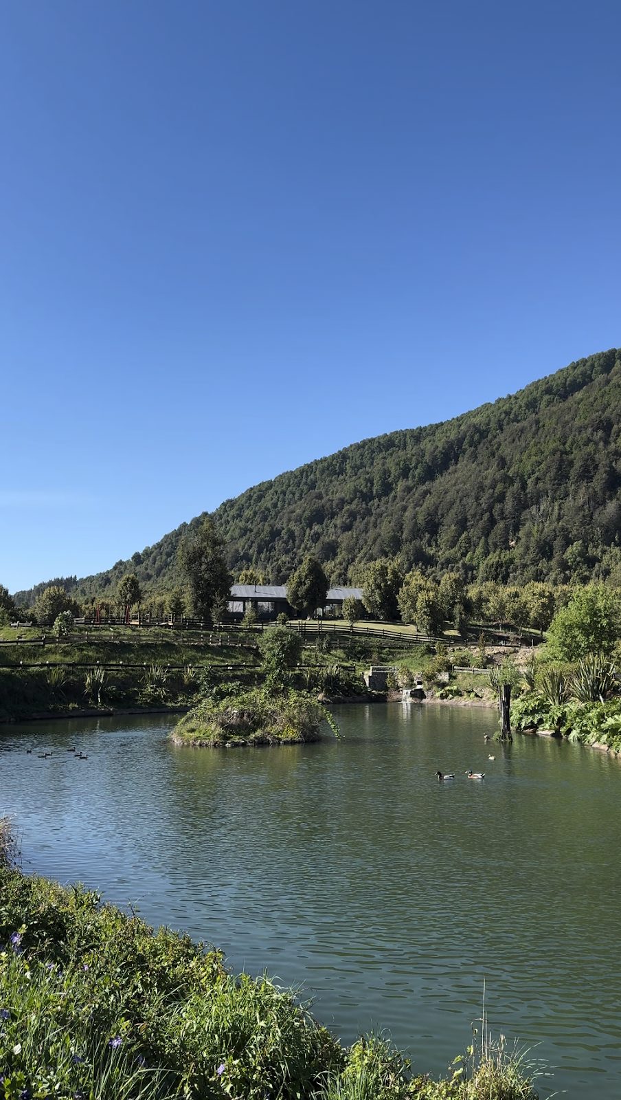 Vista Llaima