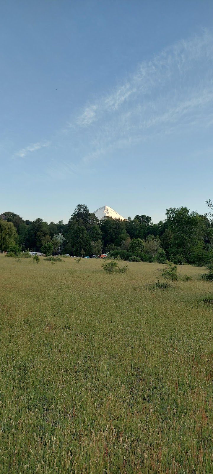 Parcela Junto al Río Captrén — foto 2