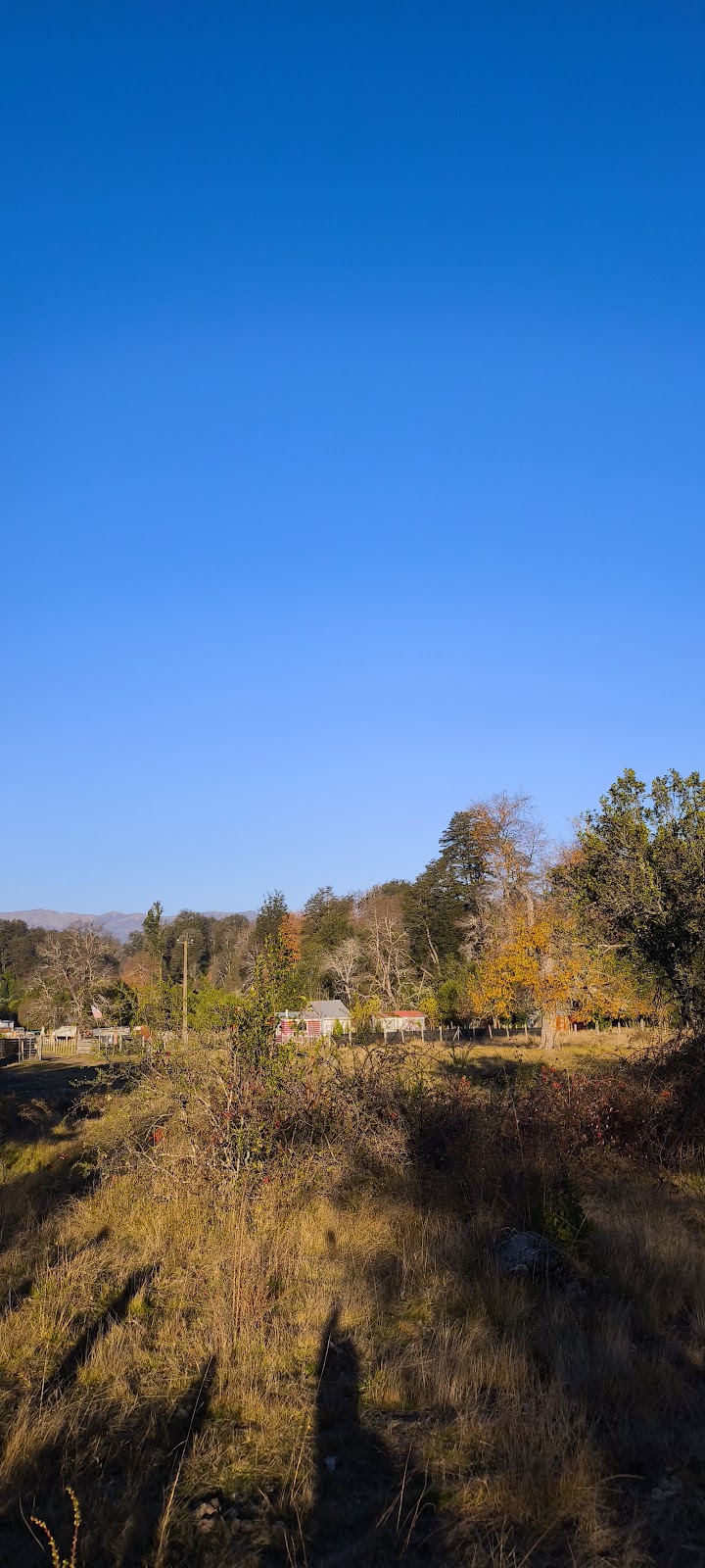 Parcela Junto al Río Captrén — foto 4