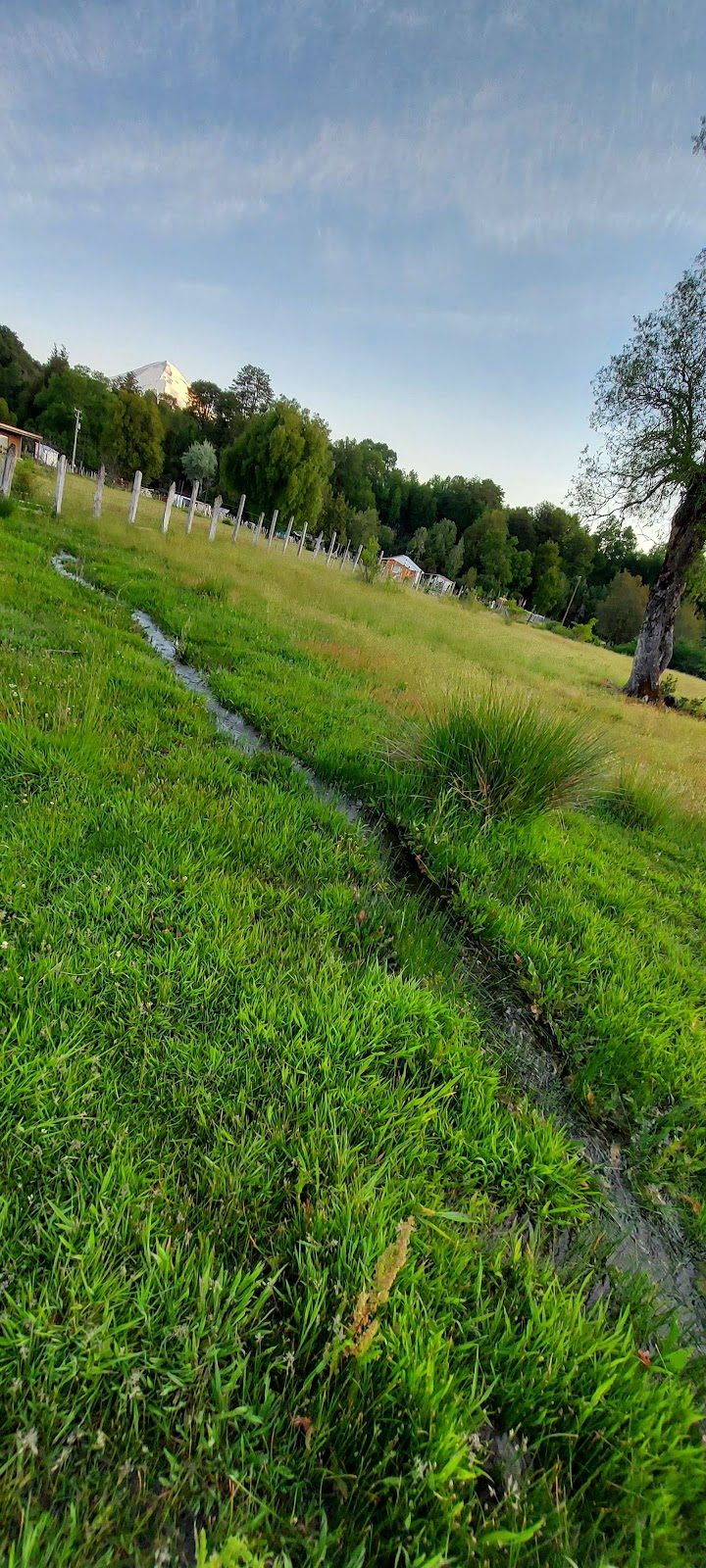 Parcela Junto al Río Captrén — foto 3