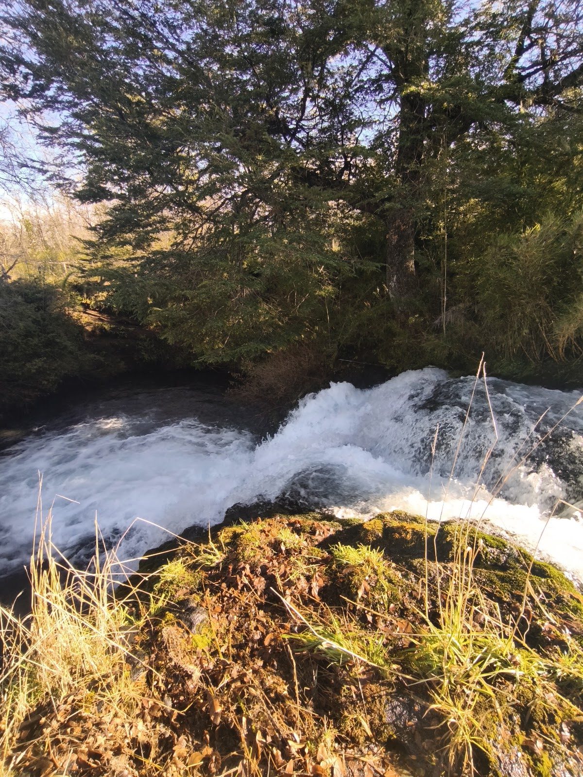 Cantos del Agua — foto 3