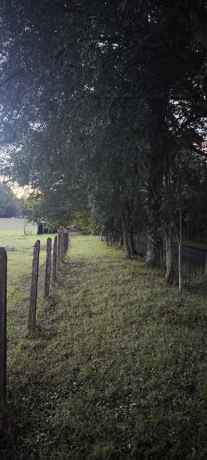 Parcela con Vivienda — Ruta 181 Km 8 — foto 5