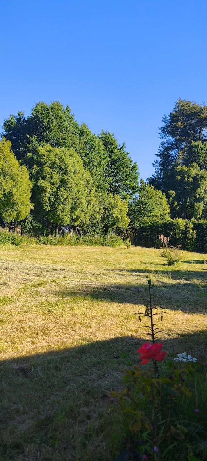 Parcela con Vivienda — Ruta 181 Km 8