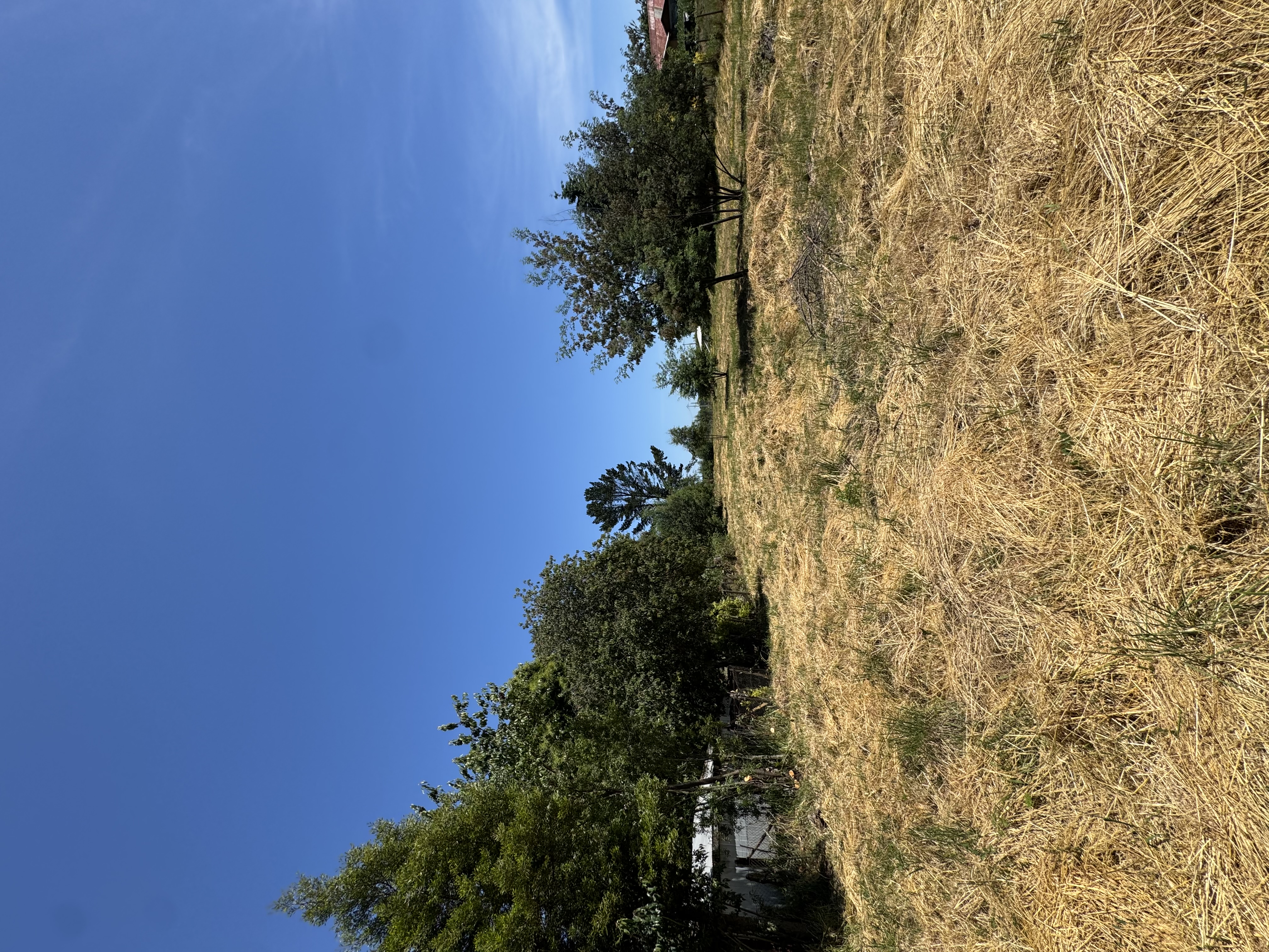 Sitio Los Laureles — foto 1