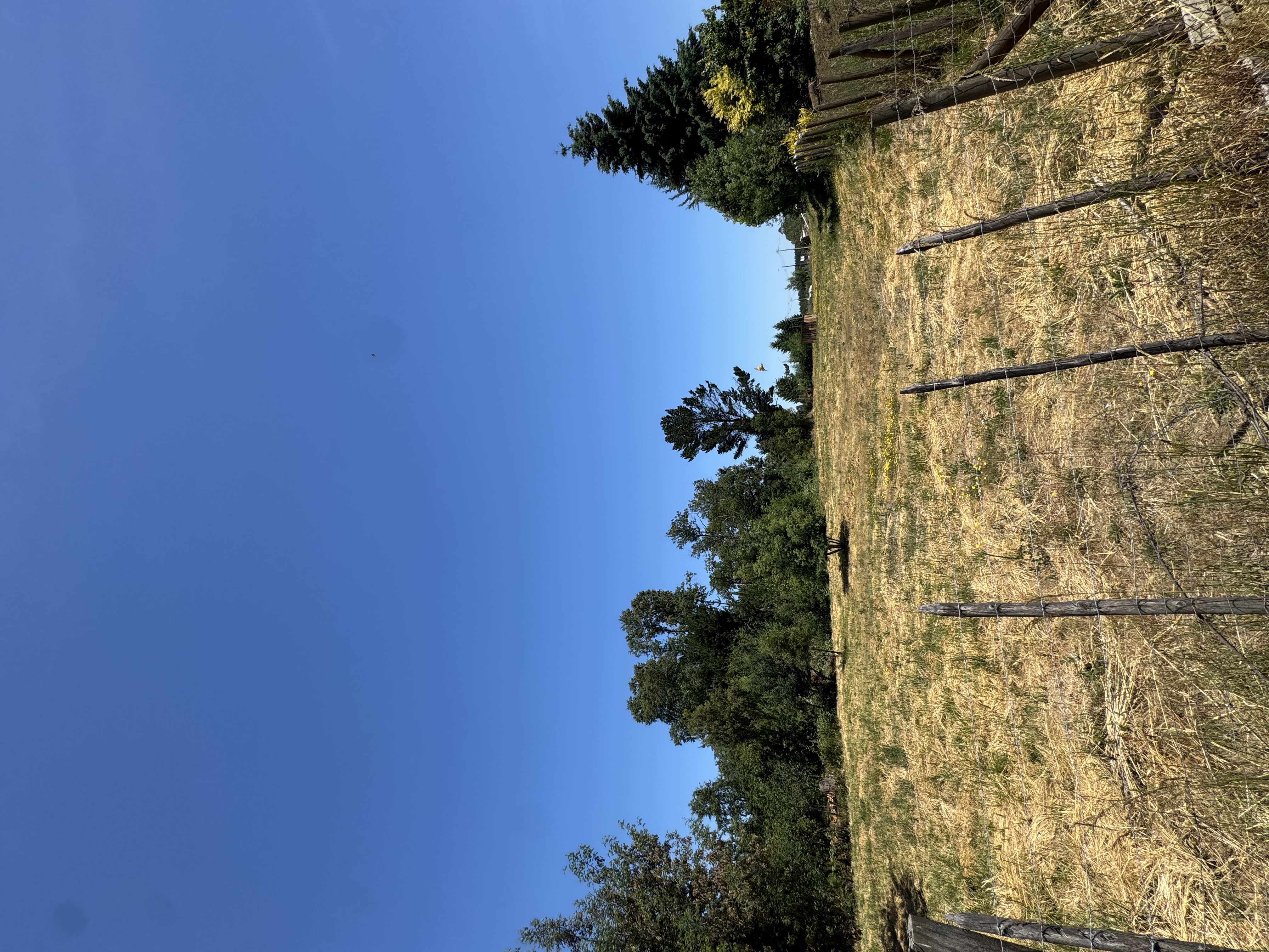 Sitio Los Laureles — foto 2
