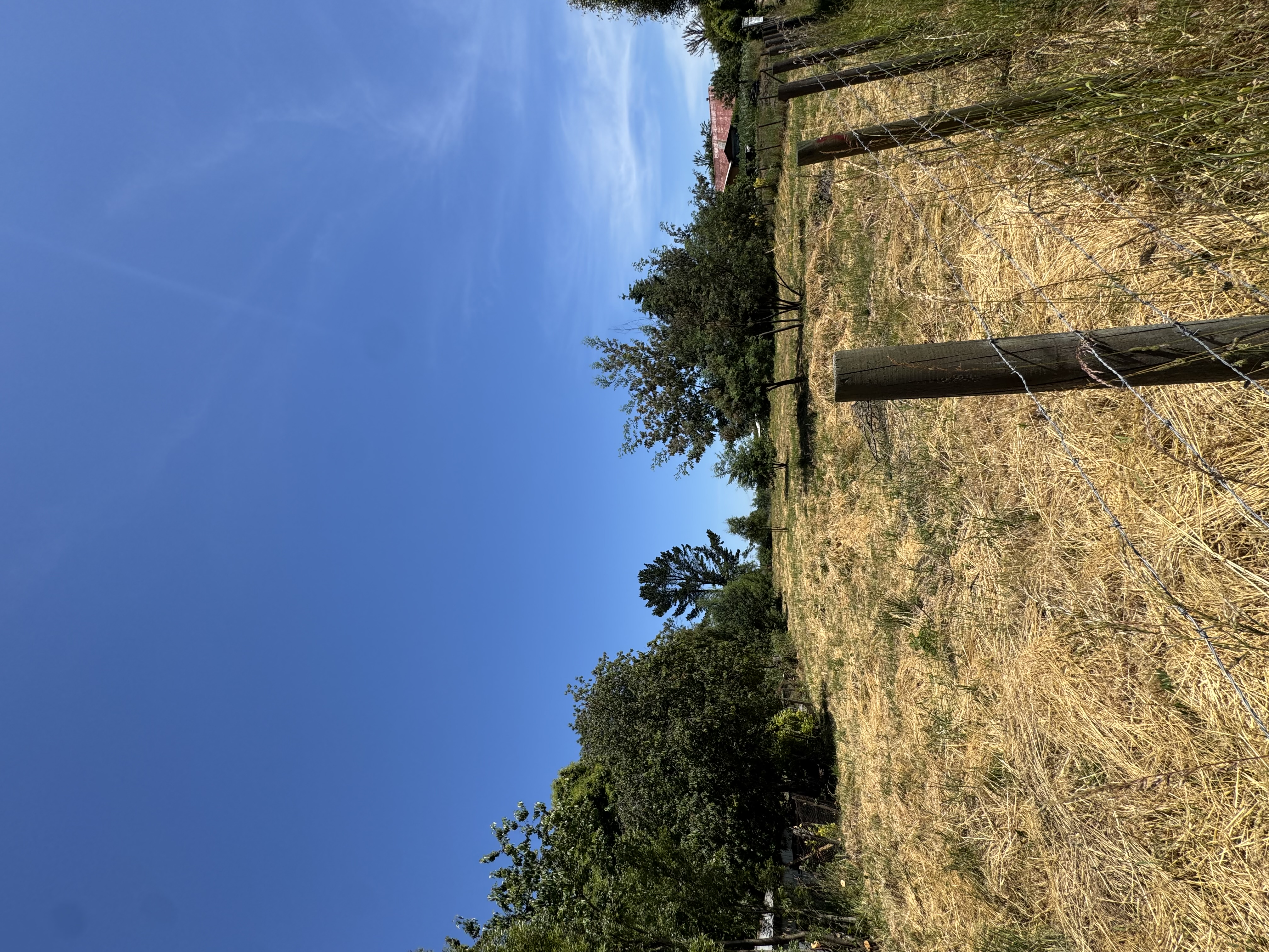 Sitio Los Laureles — foto 3