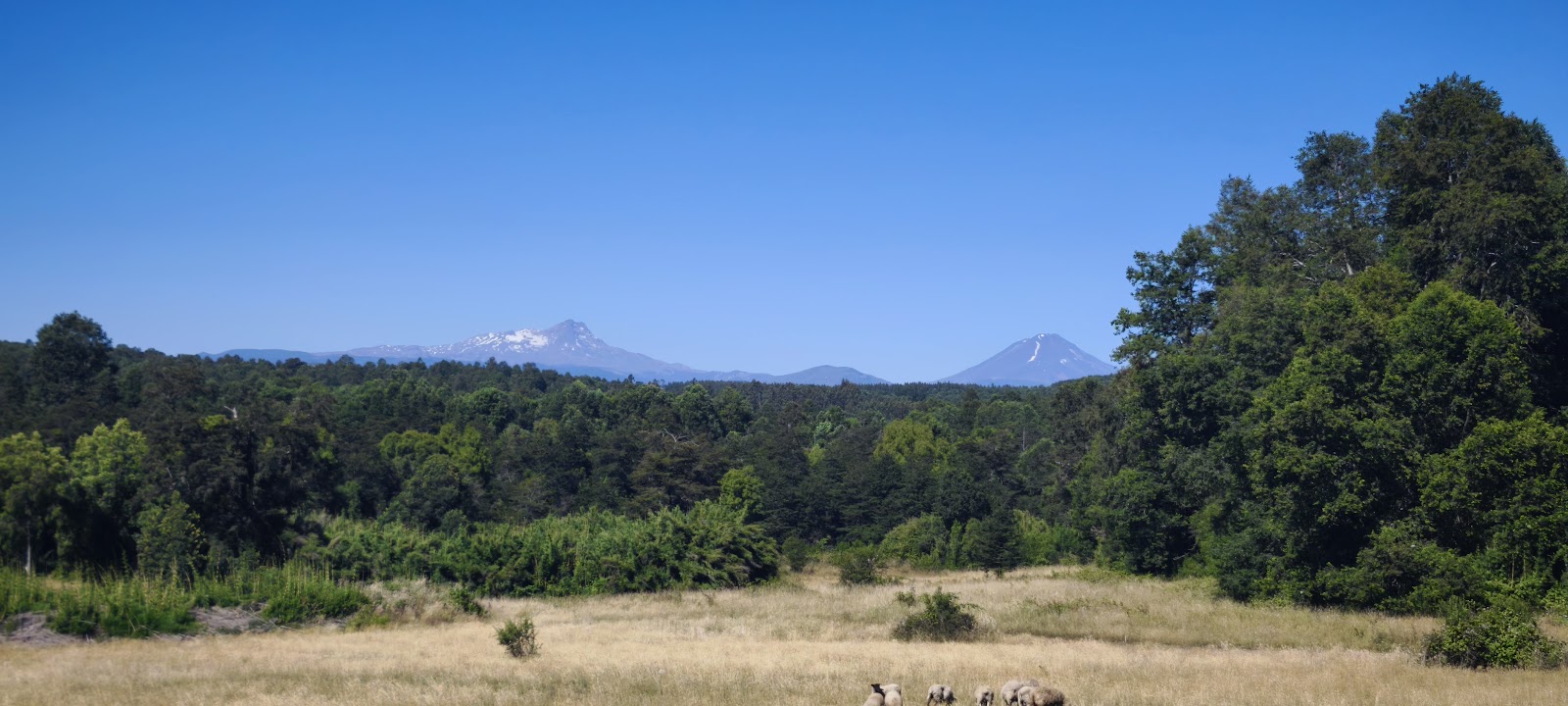 Parcela Ventrenco — Vista Volcanes — foto 3